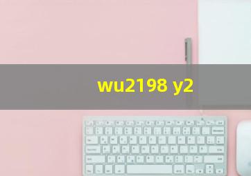 wu2198 y2